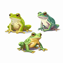 Fototapeta premium Dynamic frog illustrations capturing their energetic and lively nature.