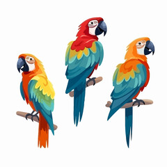 Exotic macaw illustrations, a stylish choice for branding.