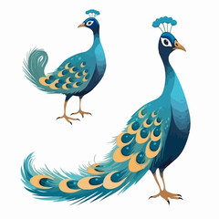 Dynamic peacock illustrations displaying their magnificent plumage.