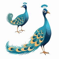 Obraz premium Dynamic peacock illustrations displaying their magnificent plumage.