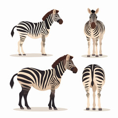 Fototapeta na wymiar Captivating zebra illustrations in vector format, perfect for print materials.