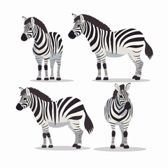 Fototapeta na wymiar Striking zebra illustrations in various poses, perfect for safari-themed designs.