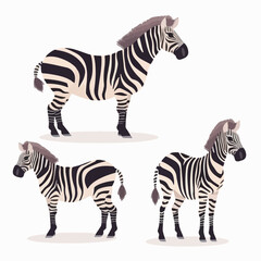 Striking zebra illustrations in vector format, adding impact to any project.