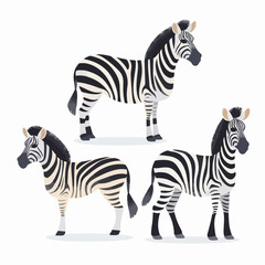 Majestic zebra illustrations in various stances, perfect for wildlife-themed designs.