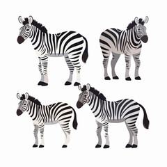 Fototapeta na wymiar Intricate zebra illustrations, a great addition to animal conservation campaigns.
