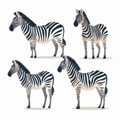 Fototapeta na wymiar Whimsical zebra illustrations in different poses, suitable for children's books.