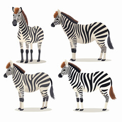 Harmonious zebra illustrations, symbolizing balance and unity.