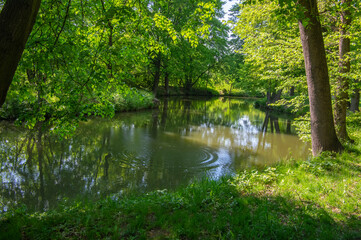 Natural location Na Podkove near Chrudima river, oxbow surrounded with trees and greenery, water surface reflections