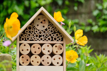 An insect hotel or bee hotel in a summer garden. An insect hotel is a manmade structure created to...