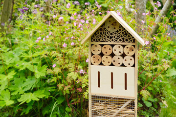 An insect hotel or bee hotel in a summer garden. An insect hotel is a manmade structure created to...