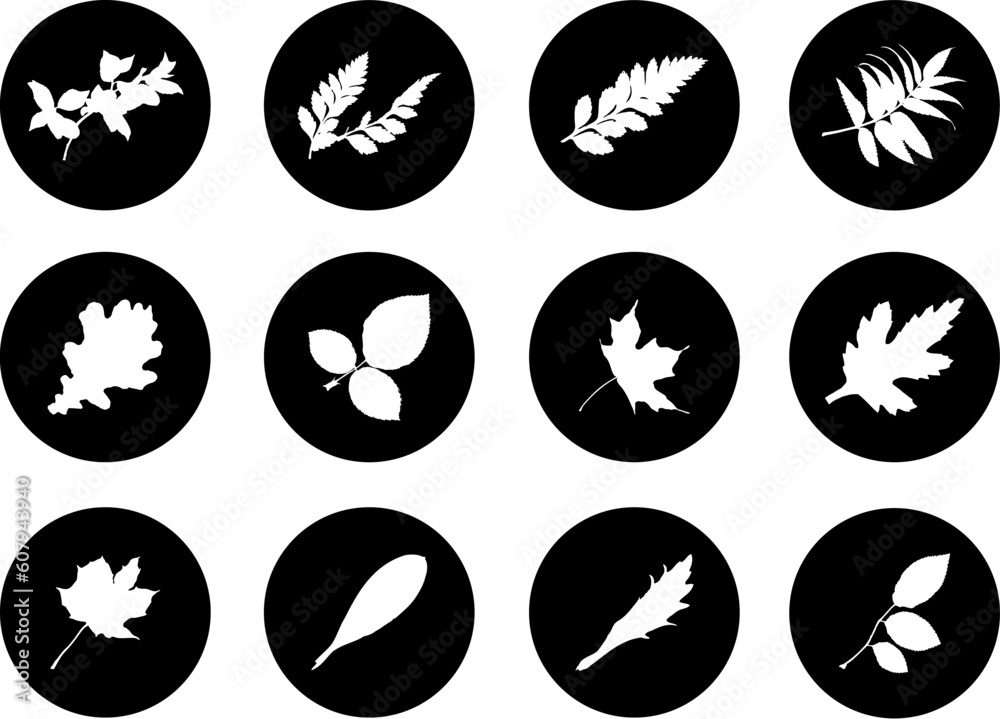 Sticker the set from silhouettes of leaves, is presented in the form of 12 buttons.