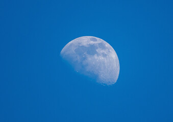 A close-up with the moon seen during the day
