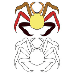Children's coloring book cartoon sea crab of the crustacean family on a white background.