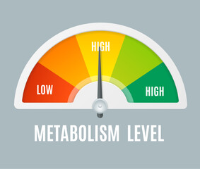 Realistic Detailed 3d Color Metabolism Level Indicator with Arrow Symbol . Vector illustration of Organism Test Instrument