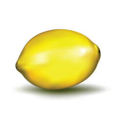 realistic lemon - easy to edit vector EPS file