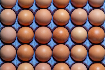 Looking down at chicken eggs in an egg box