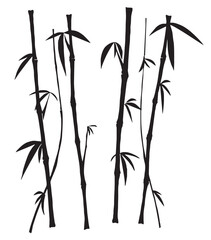 Bamboo over the white background