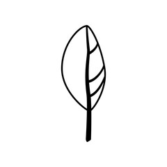 Black icon of a plant. Leaf silhouette. Clipart.