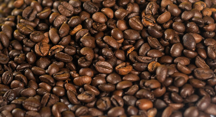 Obraz premium Coffee, Coffee beans, Coffee beans isolated on white background, Cup of coffee, black coffee