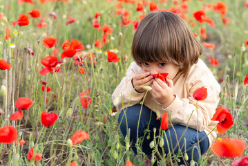 Two years old girl smelling a red poppy in a field full of wildflowers.