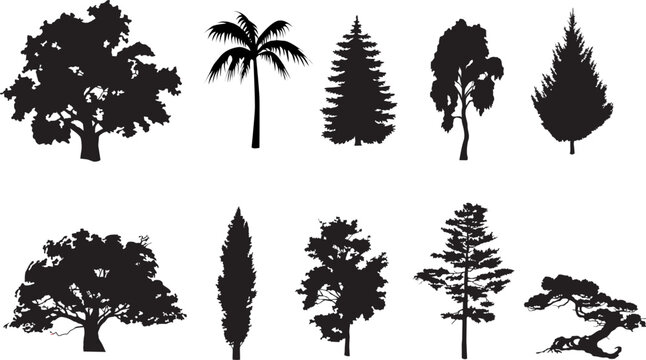 Vector silhouettes of trees silhouettes set