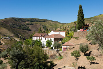 Quinta do Douro