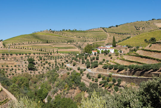 Vale na regi&atilde;o do Rio Douro