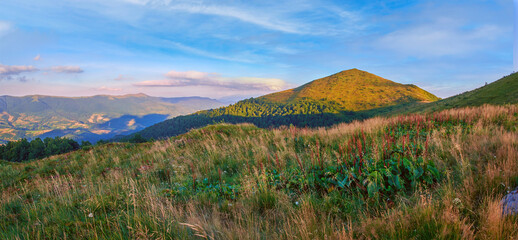 Mountain landscape on a summer evening. Green meadows of the Ukrainian Carpathians