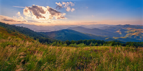 Mountain landscape on a summer evening. Green meadows of the Ukrainian Carpathians