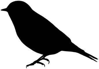 Eastern Bluebird silhouette in black 