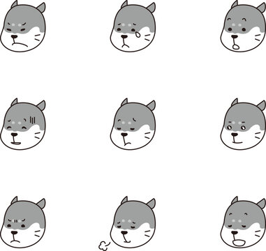 Glabella Bilder Durchsuchen 688 Archivfotos, und