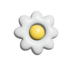 daisy flower
