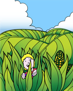 Young child stands in a field of corn. Rolling hills of green field are in the background under a blue sky.
