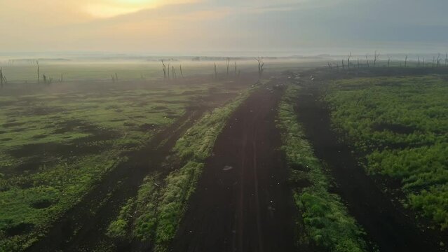 There is a lot of shot Ukrainian military equipment on the road. Tanks, cars blown up and abandoned in the fields with pits after the artillery shelling by the Russian occupiers. War in Ukraine.