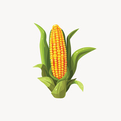 Corn vector illustration isolated on white