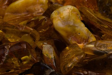Natural, polished Baltic amber found on a beach in Kolobrzeg, Poland.