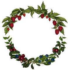 Wreath of raspberries, wild strawberries ,cranberries and bilberries and leaves up to down half border watercolor
