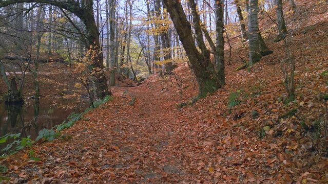 Spring nature walk and lake