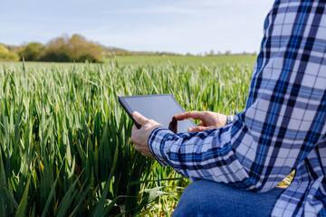 Close-up of a man's hands holding a digital tablet in a rye field. The farmer inspects the crop and...