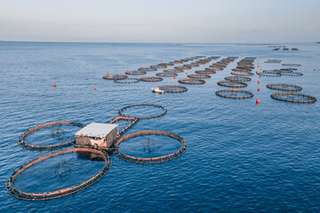 Offshore floating fish farming cages in open sea. Aquaculture fish farm, aerial view