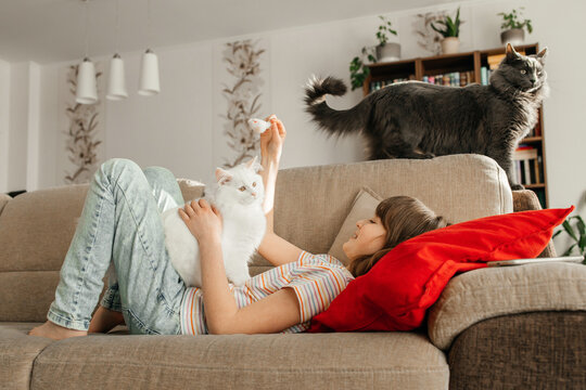 The girl lies on the sofa in the living room and holds her white fluffy kitten in her arms. Child playing with a pet.