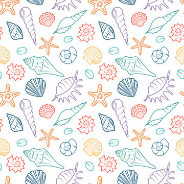 Summer marine seamless pattern. Line drawn seashells. Colorful outline of sea shell on white background. Sea holiday vector illustration