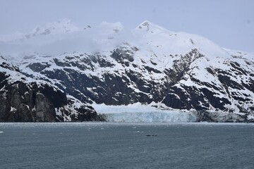Glacier at Glacier Bay National Park Alaska