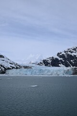 View at Glacier Bay National Park in Alaska