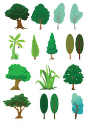 Assorted tree of nature illustration in vector