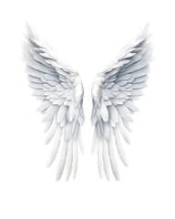 white luxury wings on transparent background, generative ai