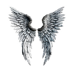 silver gray luxury wings on transparent background, generative ai