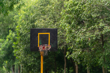 basketball basket in the schoolyard with lots of trees around in the early morning