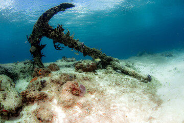 Wreck in the caribbean