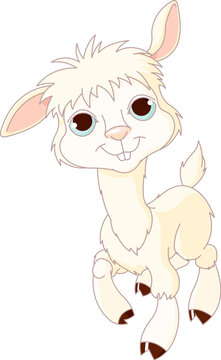 Illustration of cute and funny baby lama